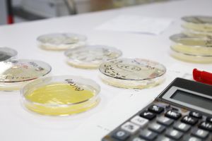 Un service r&d a votre écoute